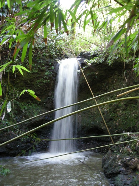 Bamboo Forest Hike Waterfall